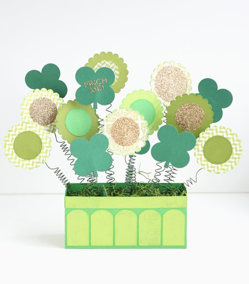 Springy Shamrock and Flower Arrangement