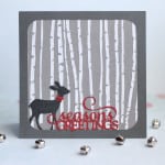 Seasons Greetings Card