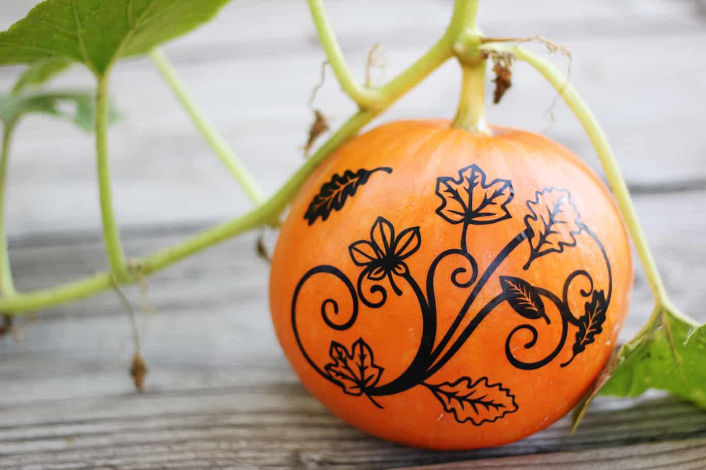 Fall Pumpkin Vinyl - Finding Time To Create