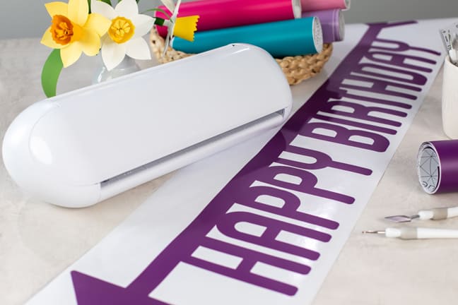 Portrait 3 long vinyl