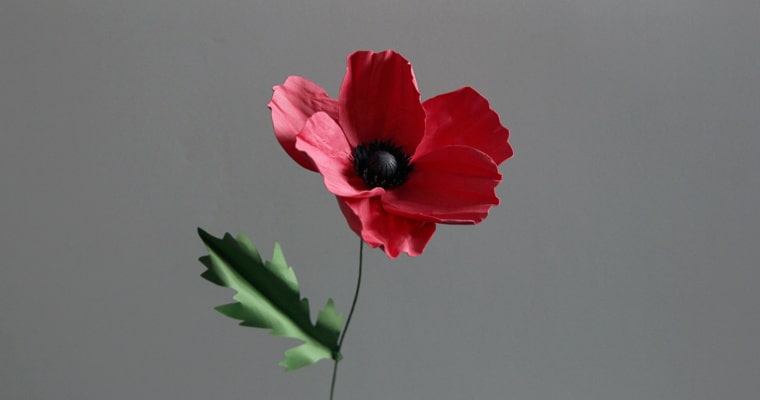 Craft Along: 3D Paper Poppy