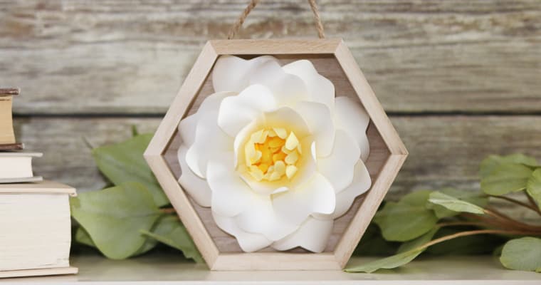 Floral Shadow Box Display