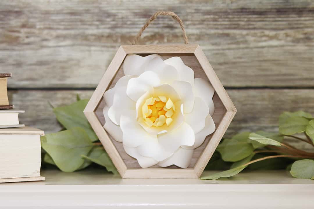 Floral shadow box - paper flower colored with PanPastel