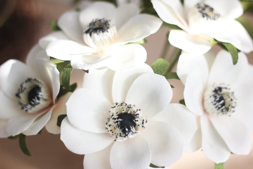 Lia Griffith's Master Class - anemones