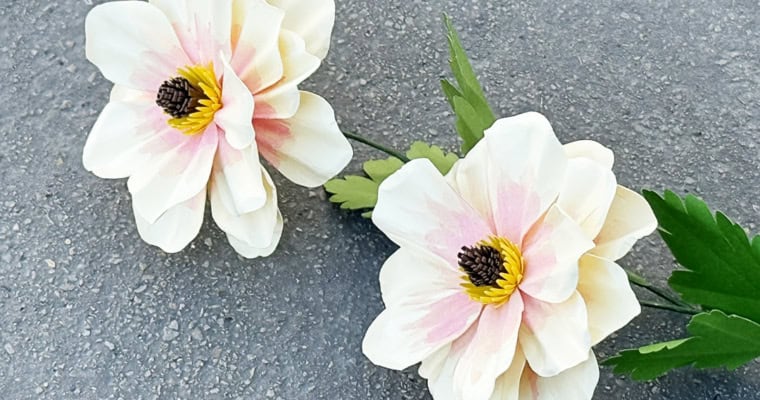 Cardstock Butterfly Ranunculus