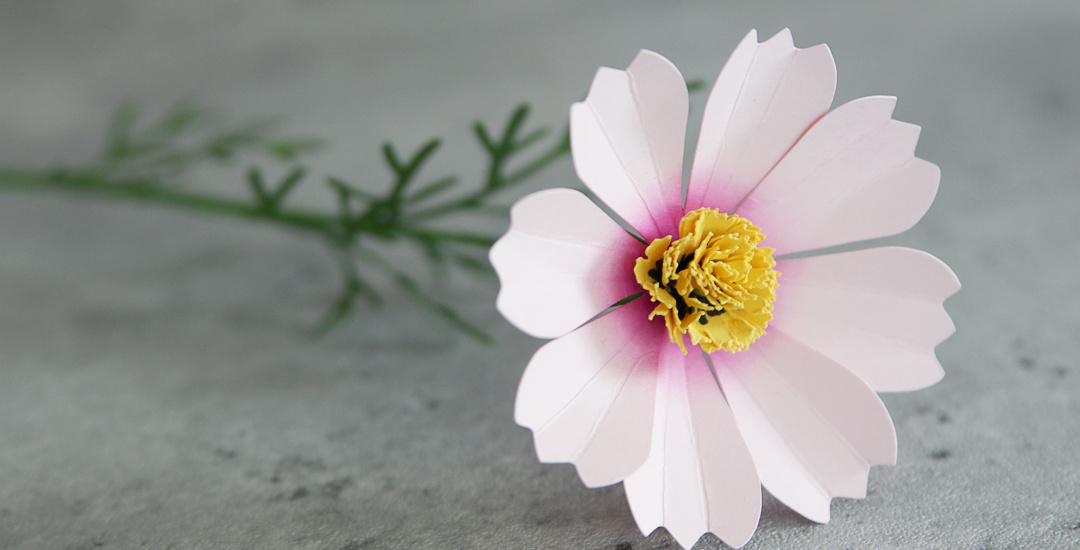 Craft Along: Cosmos Paper Flower