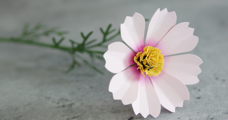 Craft Along: Cosmos Paper Flower