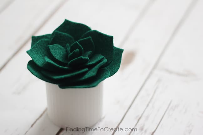 Felt Succulent