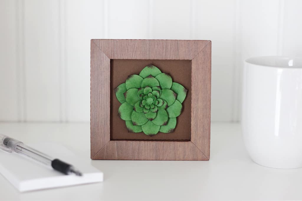 Framed Paper Succulent Class by Kelly Wayment