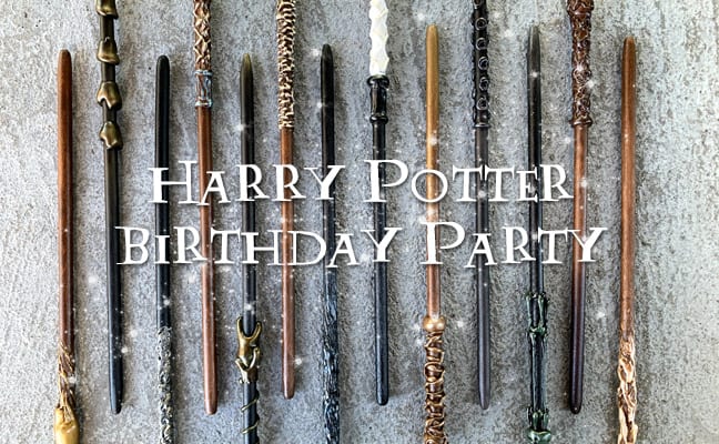 Harry Potter Birthday Party