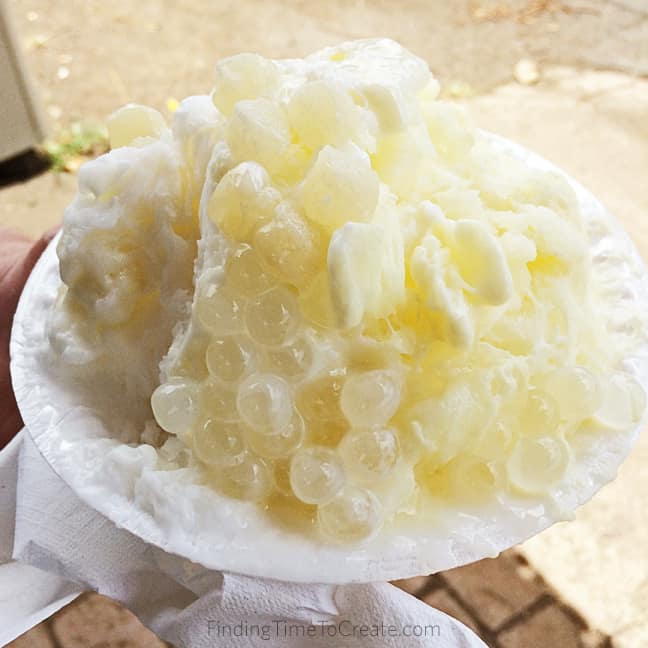 Hawaiian Shaved Ice ~ Silhouette Summit 2016 Recap