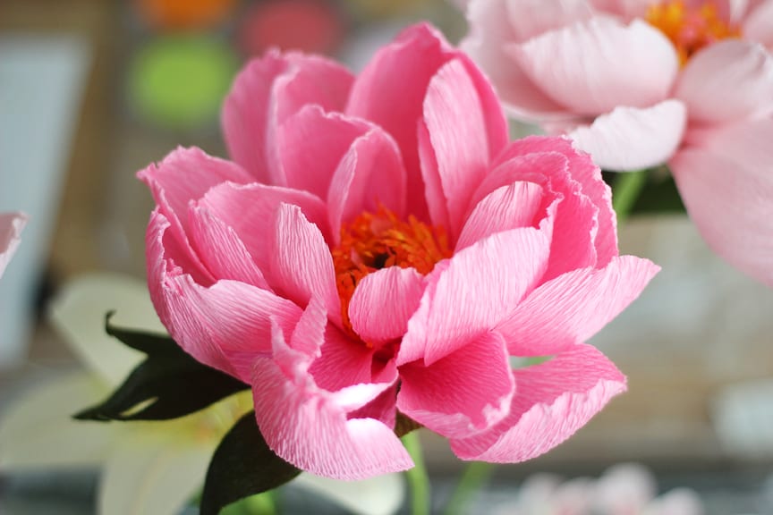 Lia Griffith's Master Class - anemone wreath