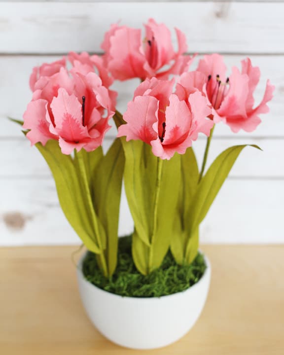 Lia Griffith's Master Class - parrot tulips