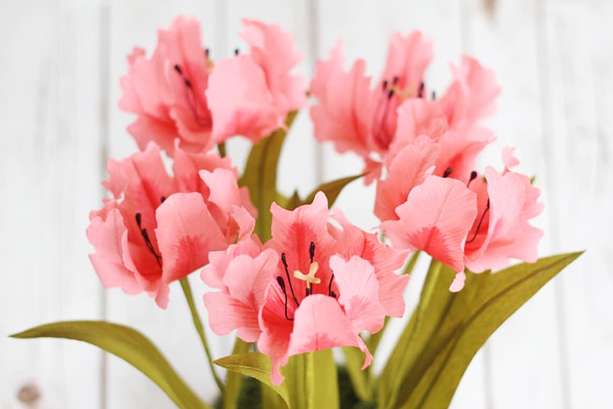 Lia Griffith's Master Class - parrot tulips