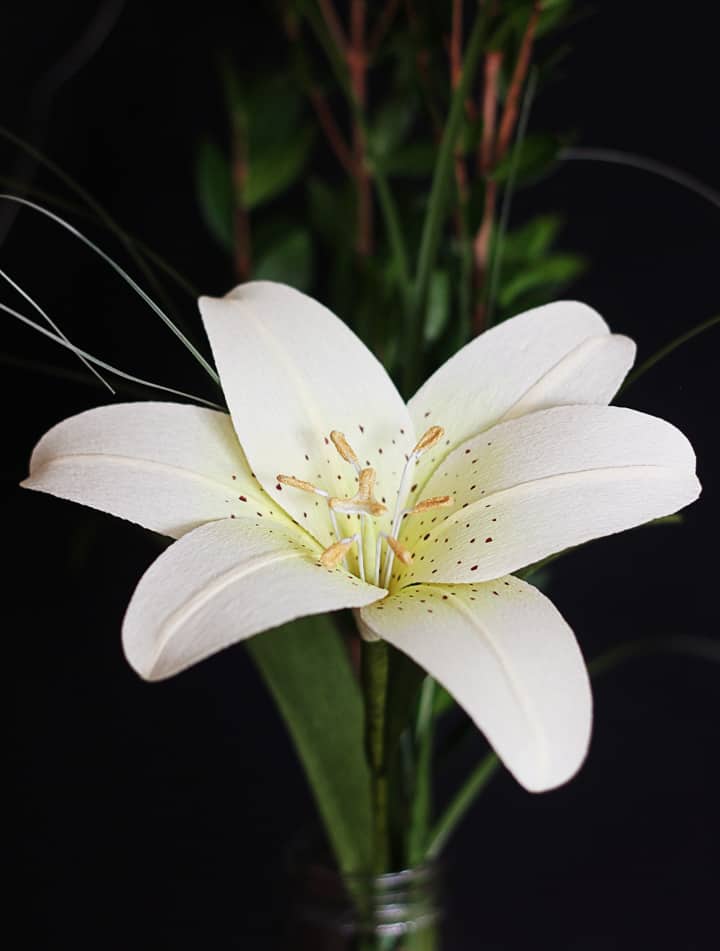 Lia Griffith's Master Class - lily