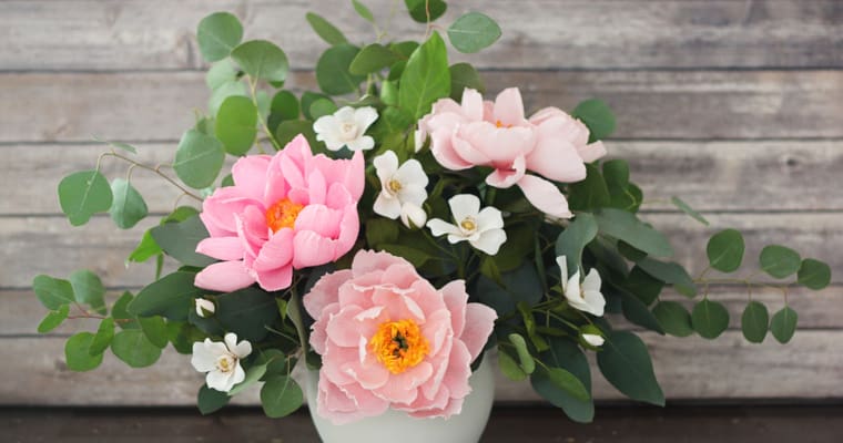 My Experience with Lia Griffith’s Master Class