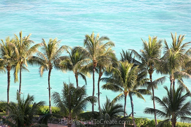 Palm trees ~ Silhouette Summit 2016 Recap