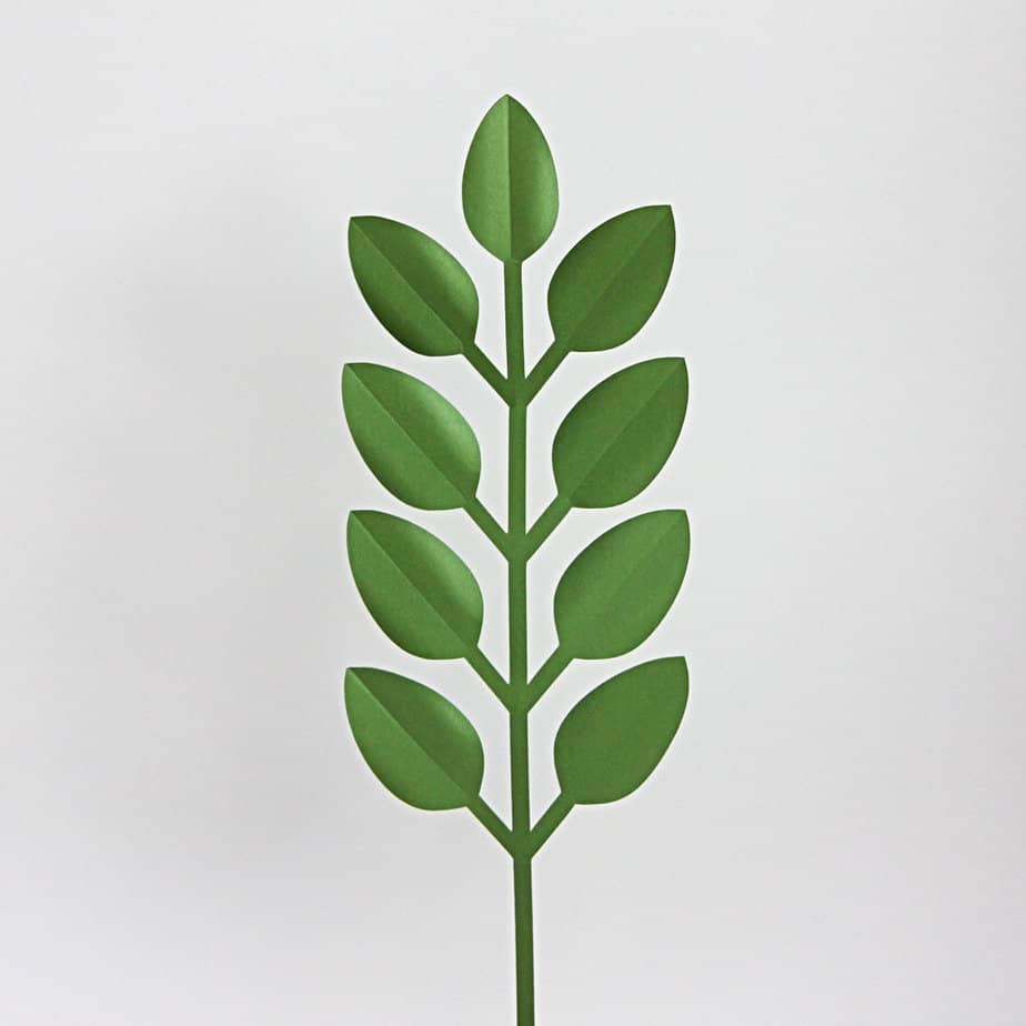 3D Paper Greenery Stem