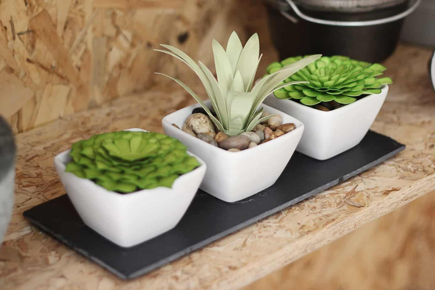 Paper Succulent Trio