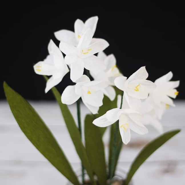 Paperwhite crepe paper flowers with the Cameo 4