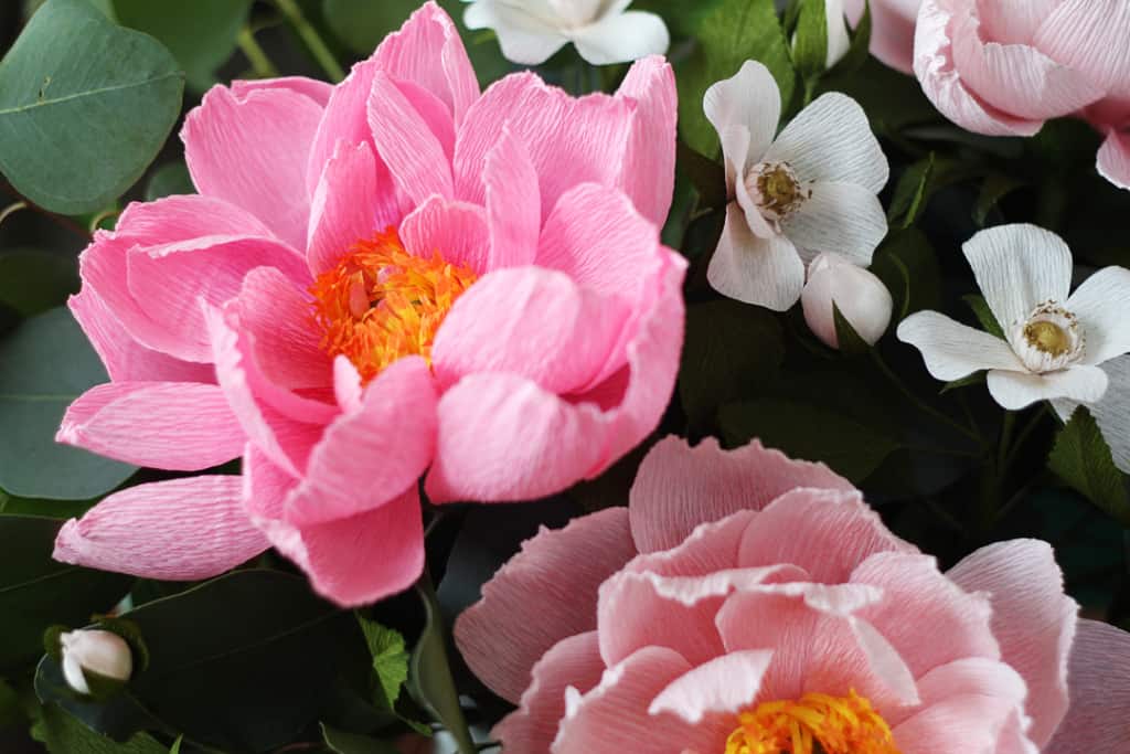 Lia Griffith's Master Class - mixed arrangement