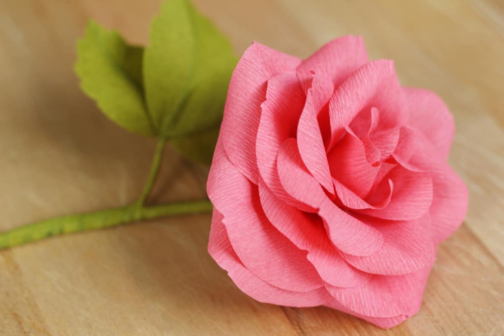 Virtual All Things Silhouette - Crepe Paper Rose