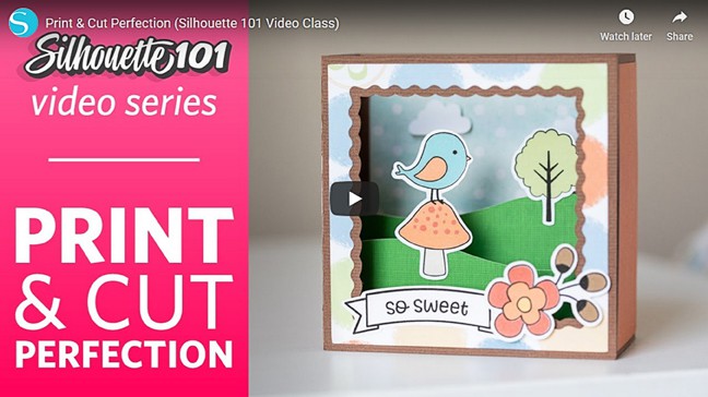 Print & Cut Perfection: Video Class