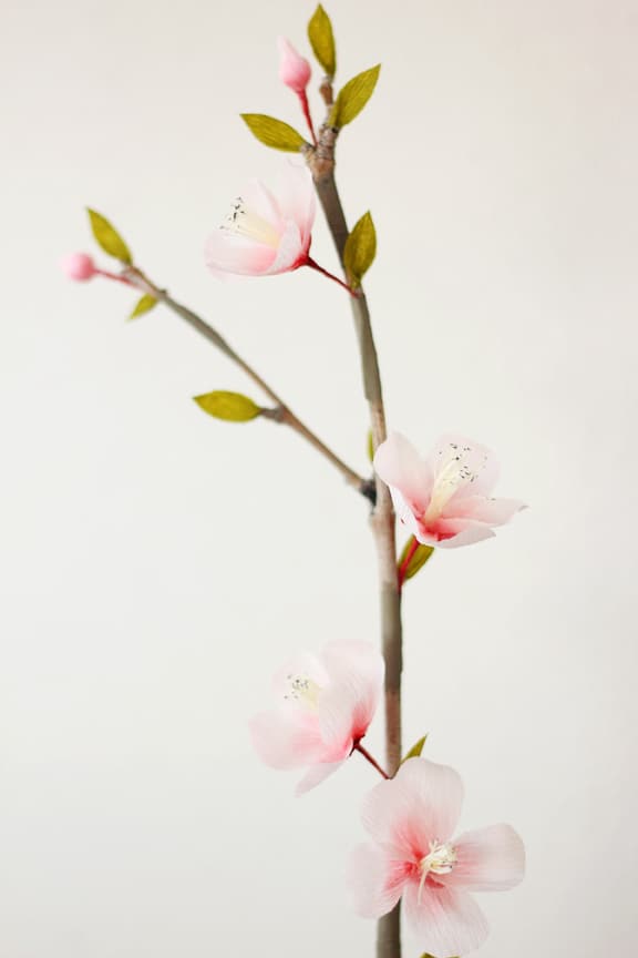 Lia Griffith's Master Class - quince blossoms