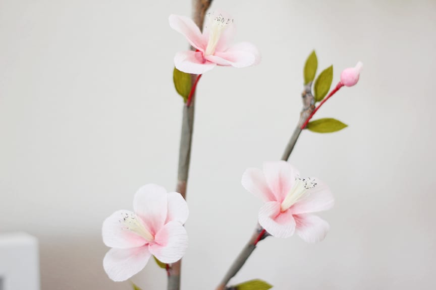 Lia Griffith's Master Class - quince blossoms