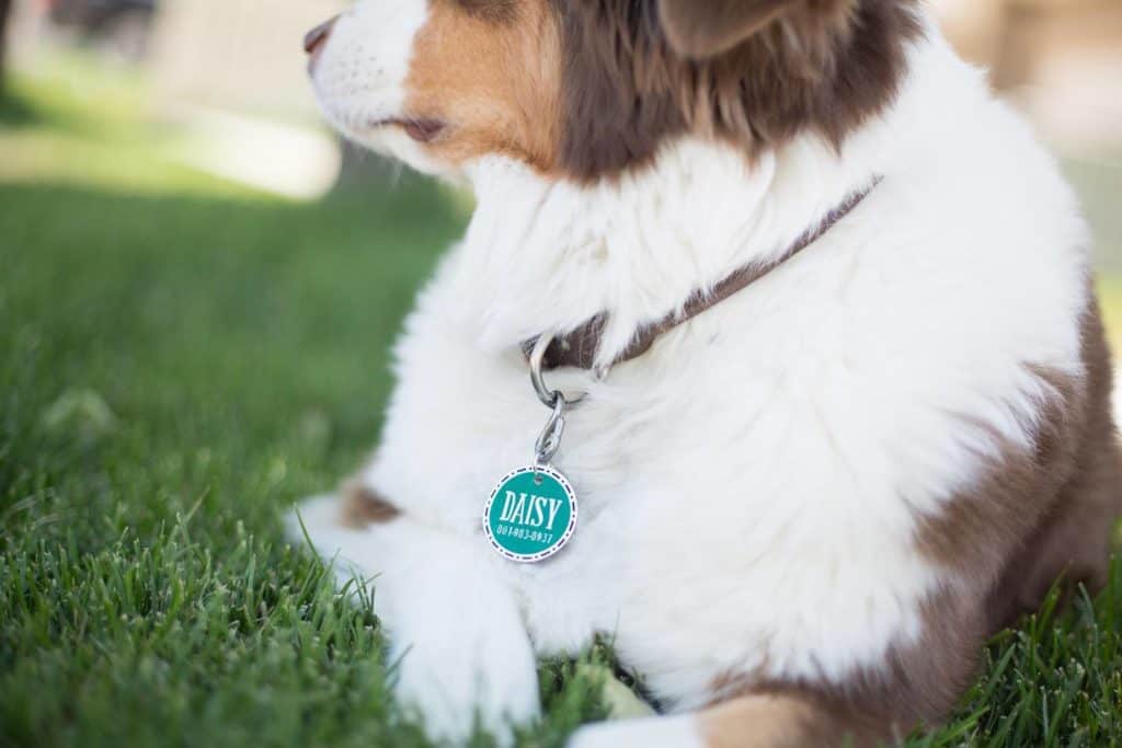 Shrink plastic - white