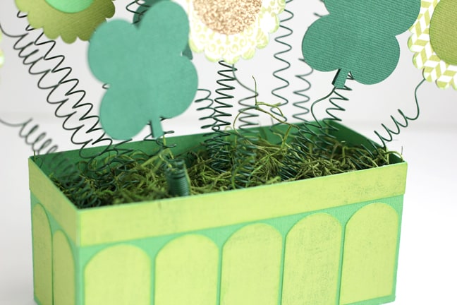 Spring Shamrock Arrangement