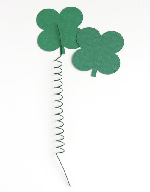 Spring Shamrock Arrangement