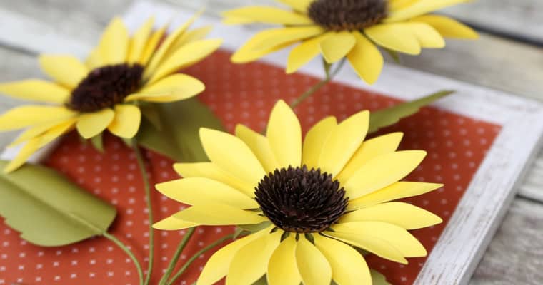 Class: Framed Sunflower 3D Art