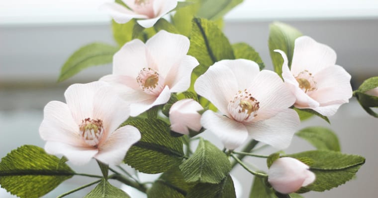 Register Now for Crepe Paper Master Class