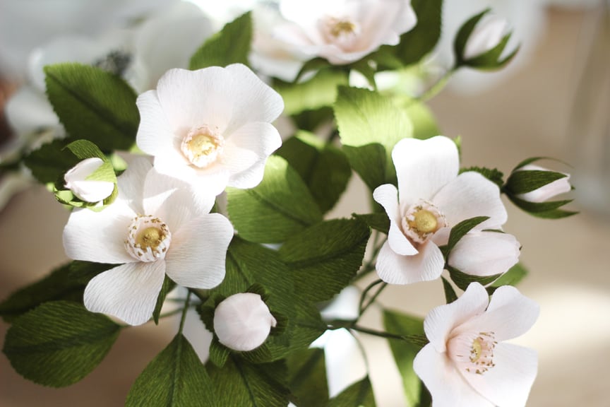 Lia Griffith's Master Class - wild roses